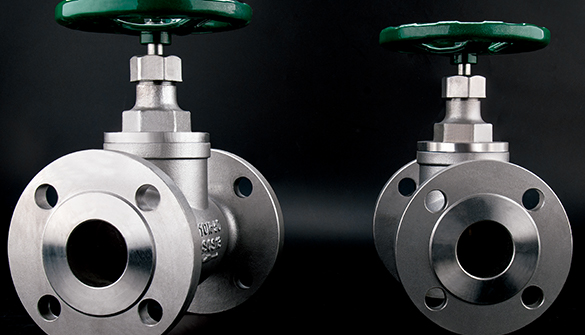 Globe valve