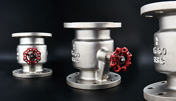 Check valve