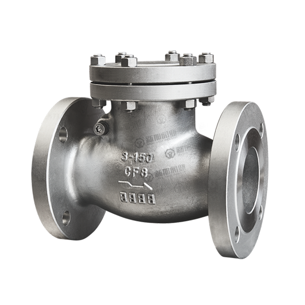 ANSI SWING CHECK VALVE