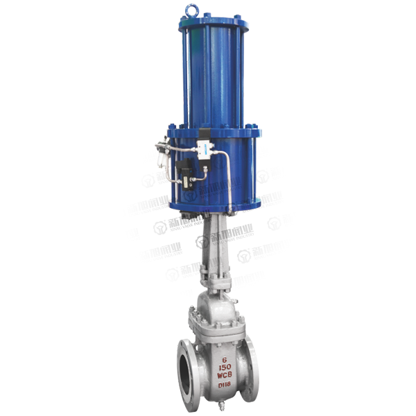 ANSI FLANGE GATE VALVE