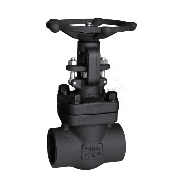 FORGING STEEL VALVE