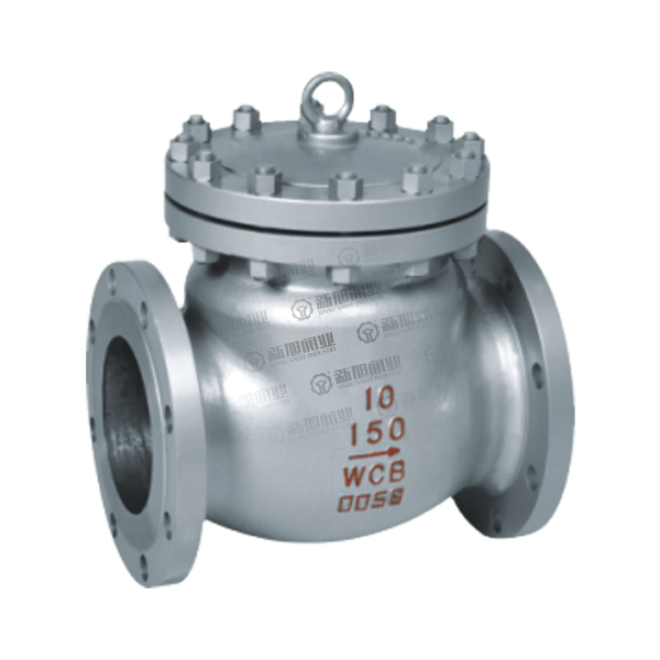 ANSI SWING CHECK VALVE